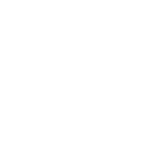 DISCREET PACKAGING ICON
